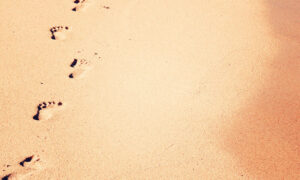 Desiderata: Un mapa hacia la paz interior