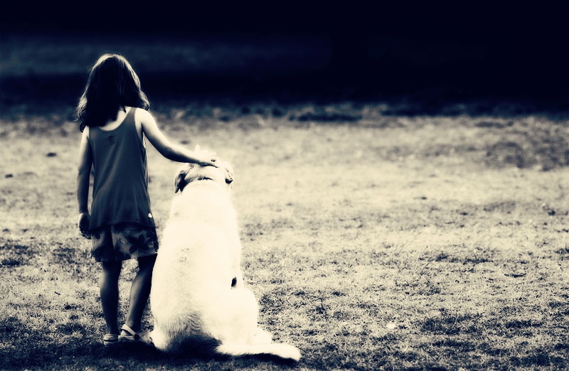 Amigos para toda la vida: Qué define una amistad verdadera