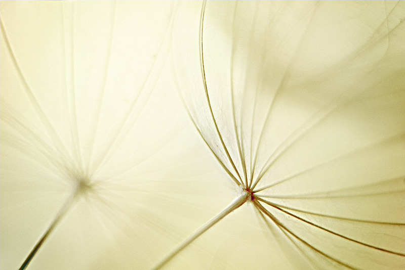 incansable