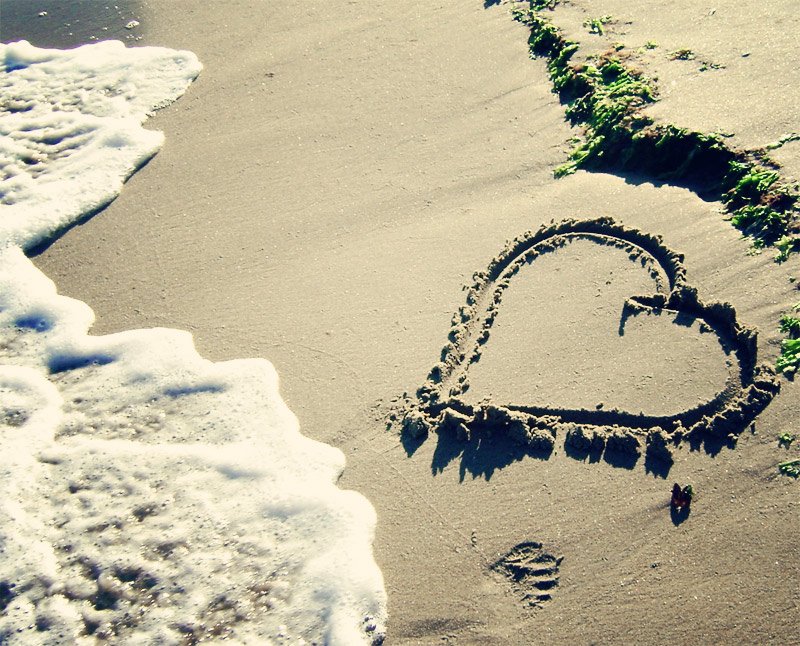 Poema del renunciamiento: un poema sobre el amor imposible
