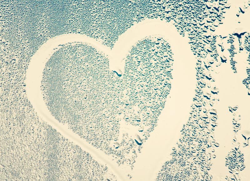 Solo el amor es real: una reflexión sobre lo que verdaderamente importa